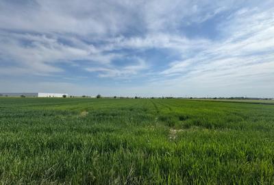 Teren agricol intravilan de 5000 mp, în Ulmi - 6