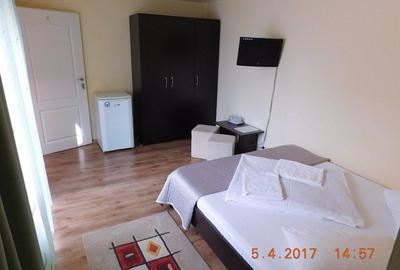 Pensiune / Guesthouse de vânzare – Afacere turistică, 12 camere – Băile Felix - 3