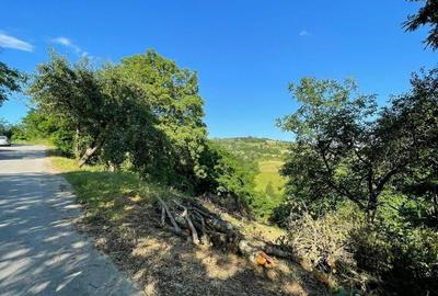 Teren zona turistica Rosia - 10