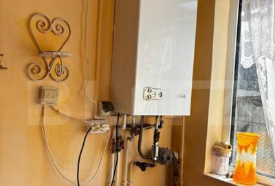 Casa Comuna Plopu , Sat Nisipoasa cu teren aproape de padure - 12