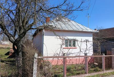 Casă cu 2 camere în Măeriște