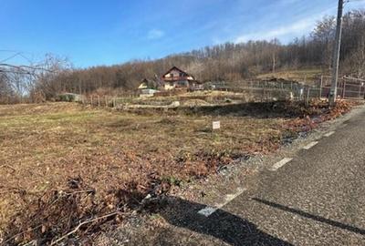 Teren de 3600 mp, în Tăuții-Măgherăuș