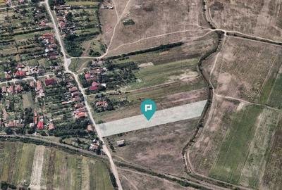 Teren Extravilan Oportunitate Unica de Investi?ii - 4