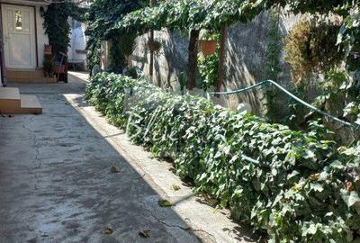 Spațiu comercial, în Coiciu - 9