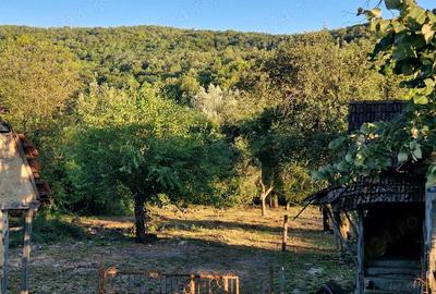 Casă cu 3 camere în Căpruța - 7