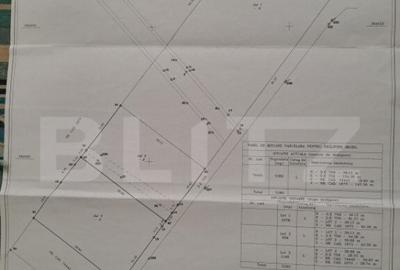 Teren extravilan 17524 mp, expunere sudica, Viforata - 24