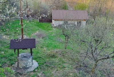 Casă cu 3 camere cu Teren 5200 Mp în Schela - 4