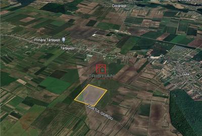 Teren agricol extravilan Tartasesti - Gulia, Dambovita - 2