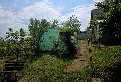 Teren Construcții intravilan de 4516 mp, în Doina - 8