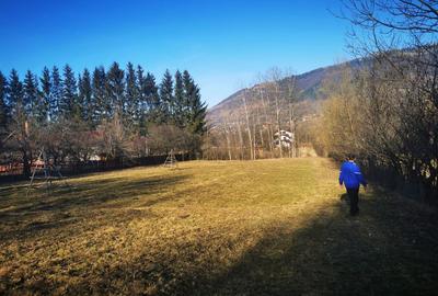Teren de 1425 mp, în Valea Doftanei - 2