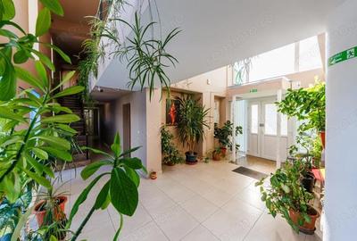 Casă cu 6 camere cu Teren 951 Mp în Central - 4