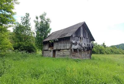 Borlovenii Noi, Teren Drept, 16000mp, la Limita Localitatii - 12