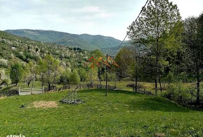 Teren de 23000 mp, în Valea Doftanei - 5