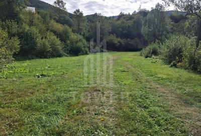 Teren Intravilan de Vânzare - 4000 mp - Râu Sadului - 9