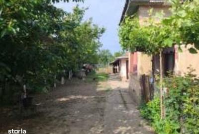 Casă cu 4 camere în Saelele - 7