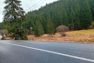 Spațiu comercial, în Poiana Horea - 7