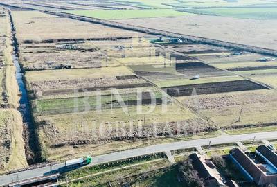 Teren de 1500 mp, în Pișchia - 4