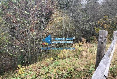 Teren intravilan de 850 mp, în Clăbucet - 8