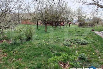 Casă cu 6 camere cu Teren 3000 Mp în Tureni - 1
