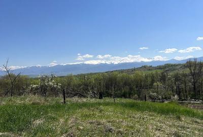 Spațiu comercial, în Ciula Mare - 3