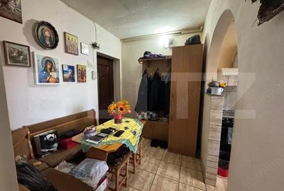Apartament cu 2 camere semidecomandat în Gojdu - 9