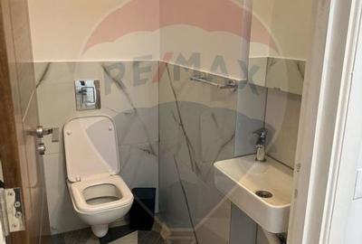 Vila de lux de vanzare in Ipotesti-Suceava - 49