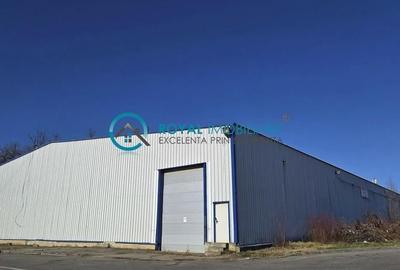 Royal Imobiliare - Inchiriere spatiu industrial zona Exterior Vest - 1
