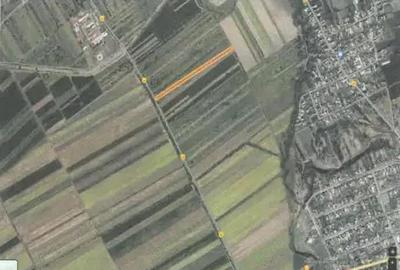 Teren extravilan Pietroasele, ID: R2586802 - 11