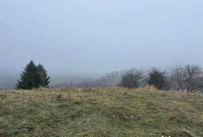 Teren de 3901 mp, în Central - 5