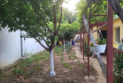 Casă cu 4 camere în Coiciu - 2