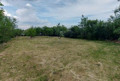 Teren intravilan de vânzare | 900 mp | Movila | Toate utilitatile - 1