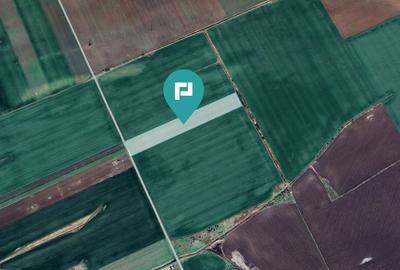 Teren 30.000 mp cu acces asfaltat Peciu Nou - 3