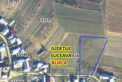 Spațiu comercial, în Burla - 3