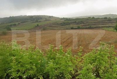 Teren 6800 mp in zona metropolitana Simnicul de Sus - 2