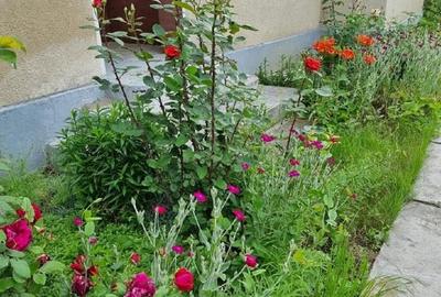 Casă individuală cu 4 camere cu Teren 1511 Mp în Adâncata - 10