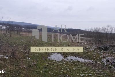 Teren de 7500 mp, în Central