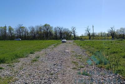 Teren Construcții intravilan de 1000 mp, în Glina - 6