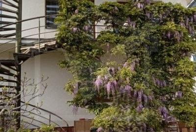 Duplex in Zorilor, 320 mp utili, pentru 1 sau 2 familii, finisat - 6