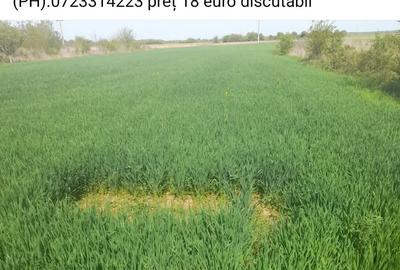 Casă cu 1 camere cu Teren 2200 Mp în Poenari