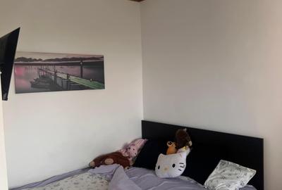 Secuilor, Berceni - 3