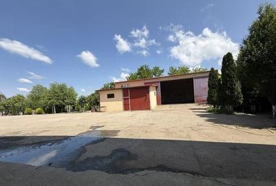 Casă individuală cu 10 camere cu Teren 4000 Mp în Centură - 12