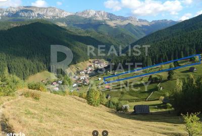 Teren de 5877 mp, în Moieciu - 3