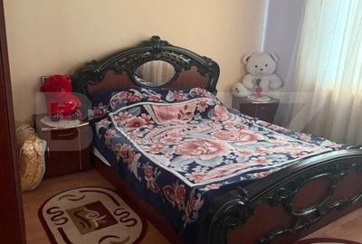 Casa individuala cu 2 camere, 160 mp utili, teren 3800 mp, Bistrita - 11