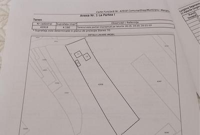 Teren de 4190mp Marginea, Suceava - 2