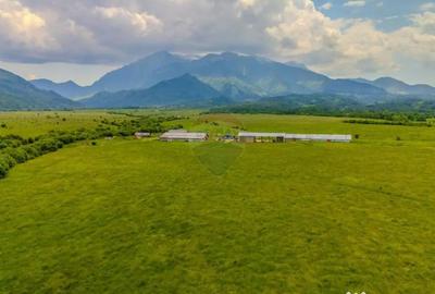 Teren de 10800 mp, în Râșnov - 16