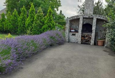 COMISION 0% | Vila 32 camere |Mircea cel Batran|Cazare muncitori|Azil - 1