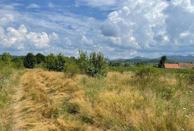 Teren de vanzare in Meziad. - 7