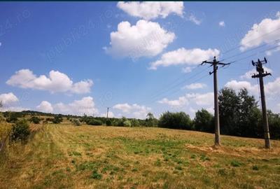 Teren de 18100 mp, în Domnești - 3