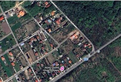 Teren Construcții intravilan de 981 mp, în Snagov - 7