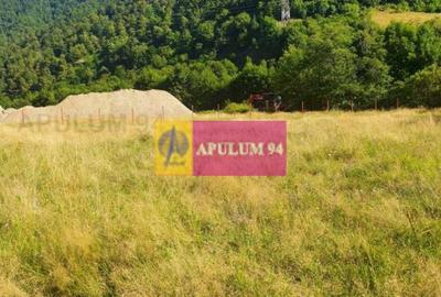 Teren Construcții intravilan de 744 mp, în Periferie - 18